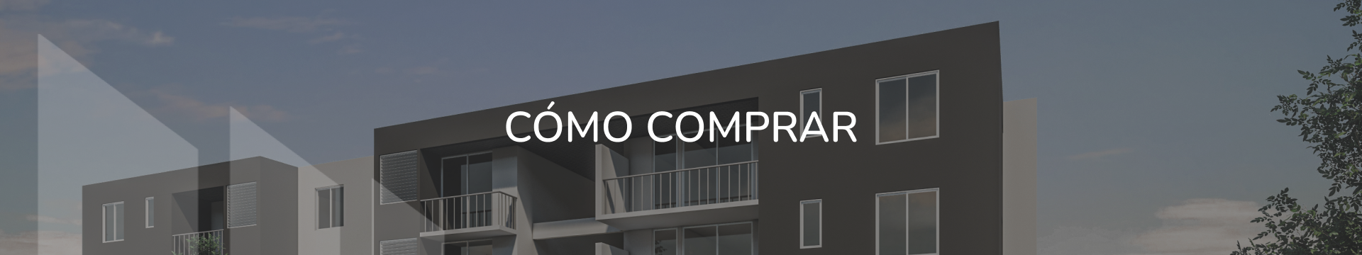 CÓMO COMPRAR (3)